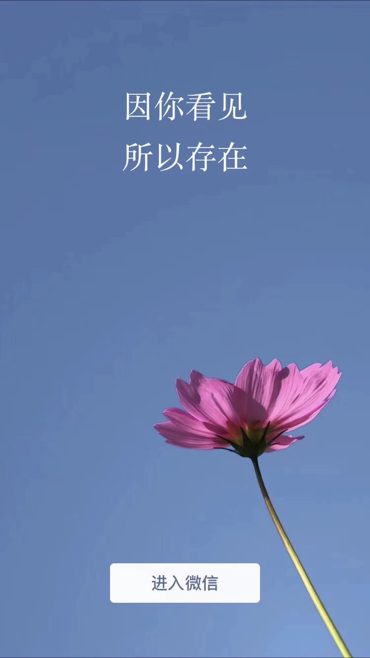 1545986318445268.jpg 1.3.jpg