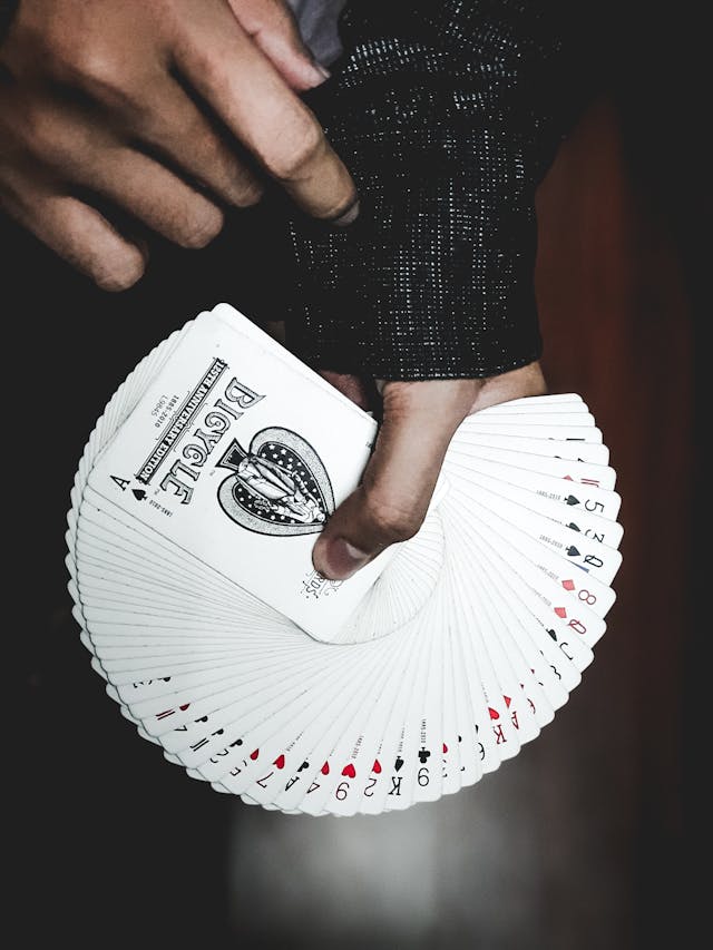1716198999421665.jpg pexels-kobeboy-3290047.jpg