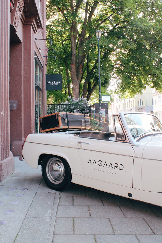 1721271912948328.jpg pexels-julieaagaard-2454094.jpg