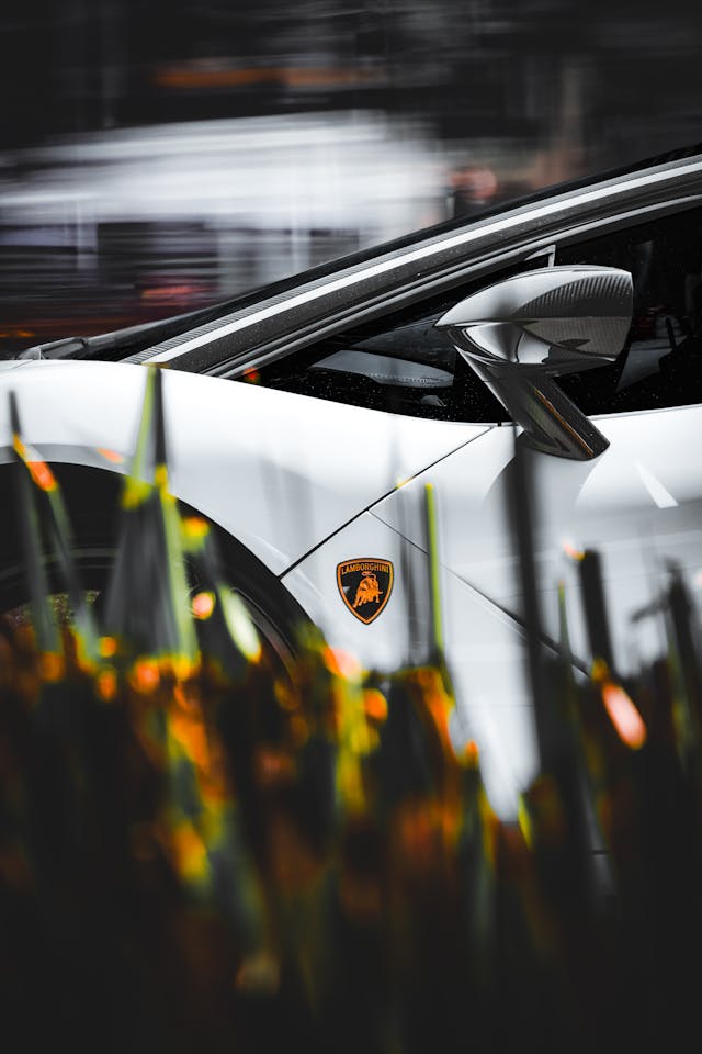 1721786901400070.jpg pexels-shots-by-sandhu-61082068-20864107.jpg